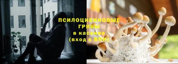 каннабис Аркадак